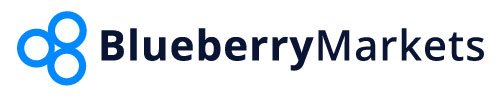Blueberry Markets Rebates